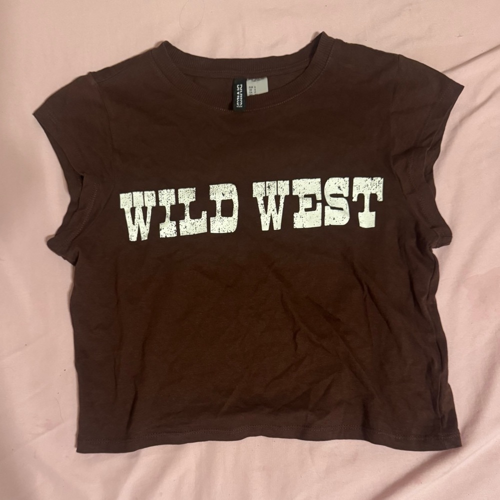 Wild West Brown H&M Crop Top